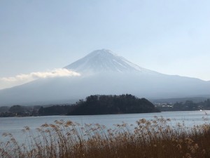 IMG_0020